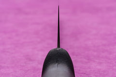 Fuji MV Color Gyuto 210mm Black