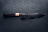 Hatsukokoro Ryuhyo SG2 Damascus BLACK Gyuto 210mm