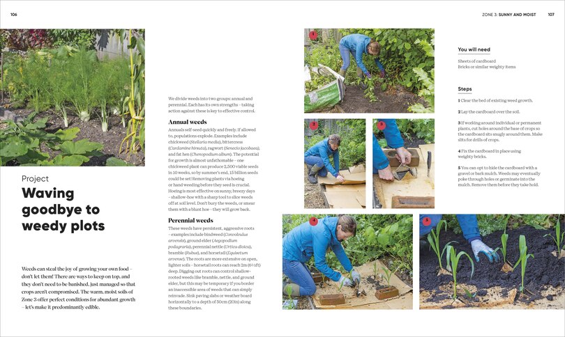 Grow Food Anywhere