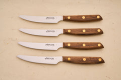 Arcos Nordika 4pc Steak Knife Set
