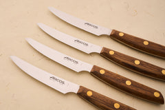 Arcos Nordika 4pc Steak Knife Set