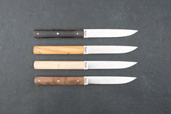 Hazaki 4 Piece Steak Knife Set