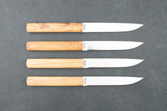 Hazaki 4 Piece Steak Knife Set