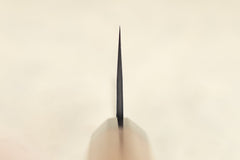 Fujimoto Hammer Tone SLD Gyuto 210mm