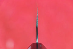 Fujiwara Maboroshi Wa Gyuto 240mm