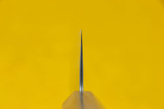 Haruyuki Nagisa Gyuto 210mm