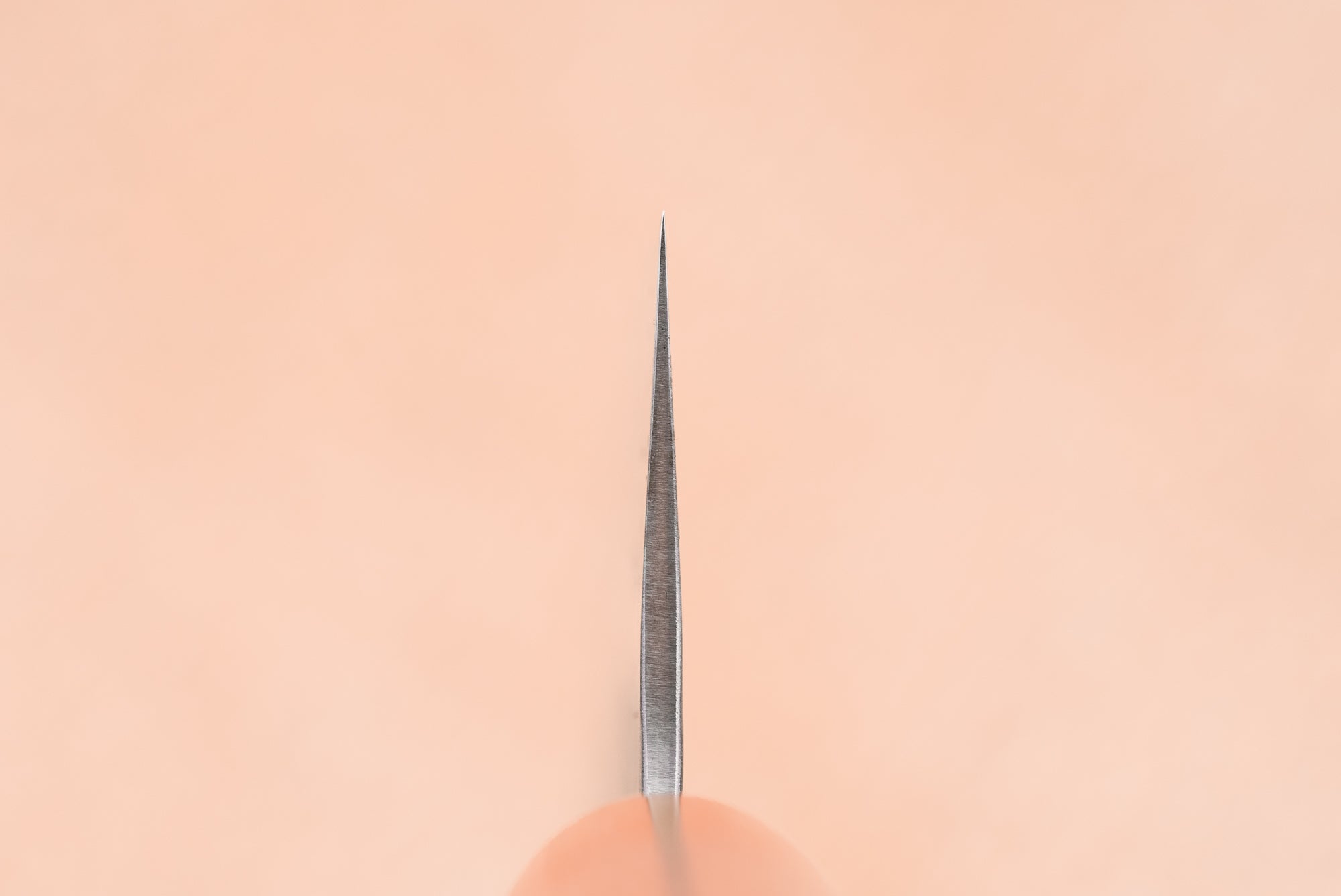 Haruyuki Nishiki Gyuto 210mm
