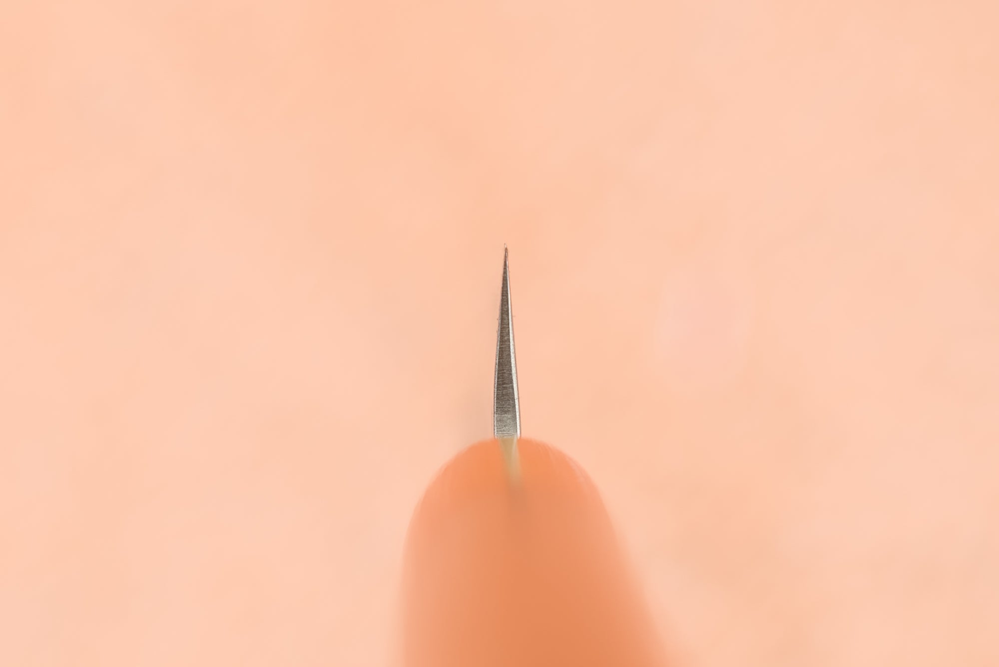 Haruyuki Nishiki Petty 135mm