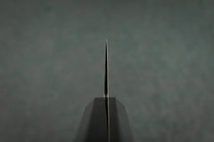 Hatsukokoro Hayabusa Aogami Rainbow Damascus Gyuto 210mm